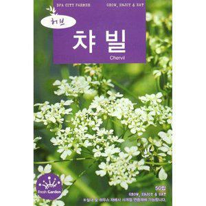 2025 씨앗 허브 챠빌 (WFGUM13)