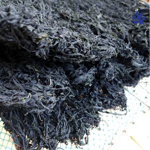 장흥 건미역 자른미역 500g 1kg