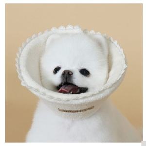 애견 넥카라 강아지 목보호대 뱃칼라 오가닉 탈부착식 반려견 보호대