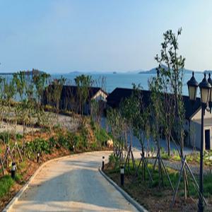 [전남 펜션] 무안 파라다이스펜션 (목포,무안,영암,신안)