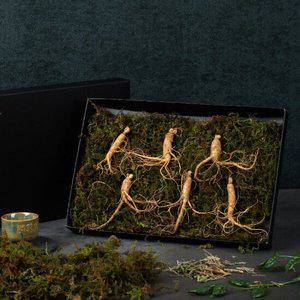 국내산 5-6년근 산양산삼 6뿌리 장뇌삼 산양삼 장내삼 장래삼