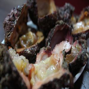 당일조업 자연산 돌멍게 1kg (6~10미) 뿔멍게 (3~4미)