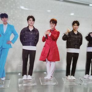 마이진굿즈 마이진미니등신대(18cm)