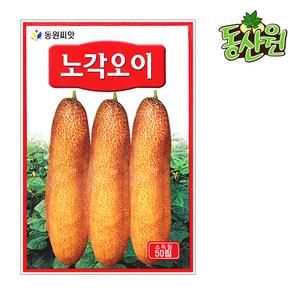 노각오이씨앗 50립 늙은오이 종자 과채소 씨앗