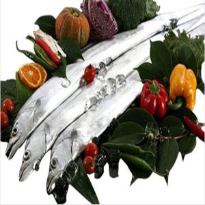 제주은갈치/선동은갈치특대5kg(8~9)마리/갈치/선물세트/제주수산물/청정식품/