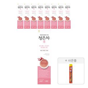 2080 청은차 수 치약, 120g, 9개 + 증정(토탈케어 칫솔, 일반모, 1개)