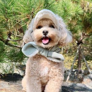 [HYIII5K7_4B]목도리 뽀글이 강아지 고양이 겨울 민트 1개