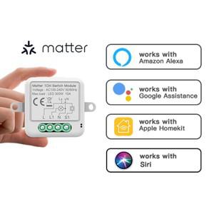 투야 스마트봇Matter WIFI 스마트 스위치 모듈 릴레이 차단기 HomeKit 무선 제어 Siri Alexa Google 홈 라