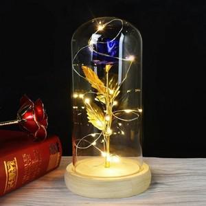 황금장미 카네이션 LED 무드등 유리돔 금장미 꽃 플라워 조명