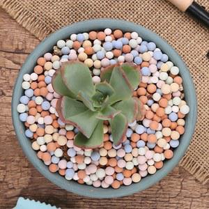 유색 유기 빛 세라믹 사이트 작은 장식, 용품, 어항 수경 5mm, 정원 식물용 돌, 조경 500g 다육