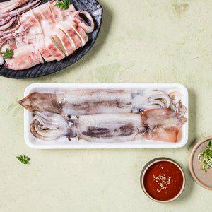 [생물][국산] 생오징어 (마리)