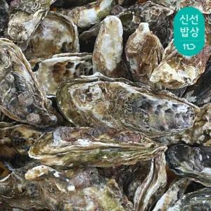 [품질보장] 이순신수산 산지 통영굴 삼배체굴 석화 하프셀 10kg 