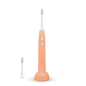 단미 휴대용 음파 전동칫솔 DA-CL200 코랄