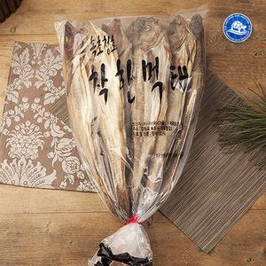 착한먹태 7통 중자(45-48cm) 10마리