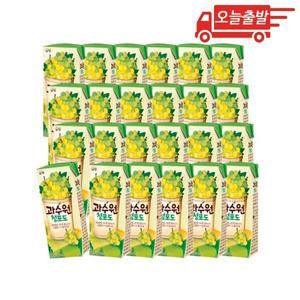 오늘출발 남양 과수원 청포도 190ml 24개