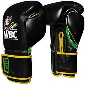 Title Boxing WBC 백 글러브  블랙/그린 16OZ