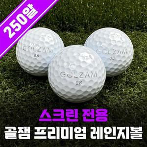 골잼 레인지볼 스크린 인도어 연습용 골프공 250알