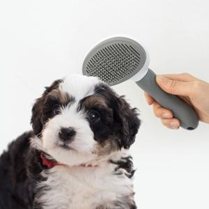 강아지빗 고양이 털제거 슬리커 실리콘 애견 브러쉬