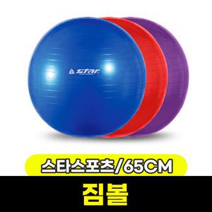 [문구와팬시] 스타 짐볼 65cm EB200