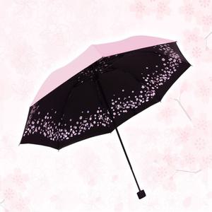 [ EDITO ] 파스텔톤 벚꽃 암막 양산 우산
