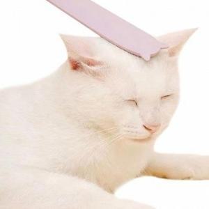 [BZJL8BWX_4C]고양이 힐링 스타일 브러쉬 핑크 1P 털