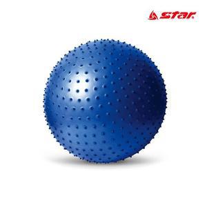 [KGPQSO1F_4B]짐볼 블루 스타 스트레칭 65cm