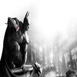 PC/GOG 배트맨 아캄 시티 고티 (코드발송)