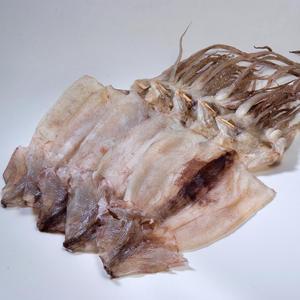 반건조 오징어 쫄깃쫄깃 원양산 국내 건조 오징어 1kg~2kg