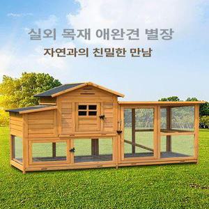 실외 강아지집 개집 애견 진돗 야외 견사 고양이