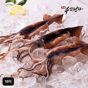 수산천하 국내산 손질 통오징어 18미