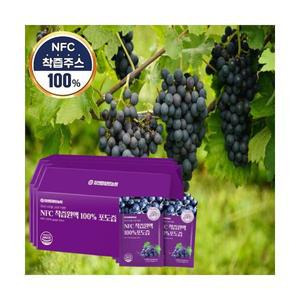국내산 포도즙 NFC 착즙 원액 엑기스 과채주스 HACCP 100mlx30포 3개
