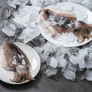 송도씨 국산 손질 갑오징어 1kg(대3~5미/급냉)