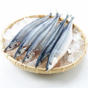냉동 꽁치 선동 5마리 특 생물급랭 조림 구이용