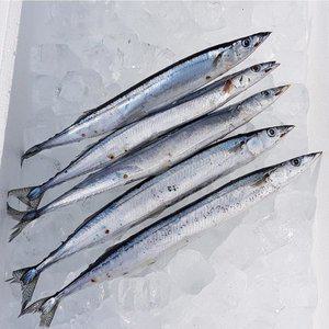 꽁치 냉동 손질꽁치 대사이즈 옵션1. 온마리꽁치 10미