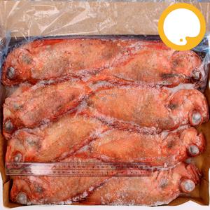 도매 적어 7kg 700/1000 약9미장문볼락 열기 빨간고기 생선구이 박스
