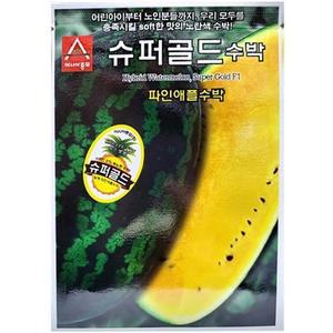 수박 노란 파인애플수박 슈퍼골드 10립