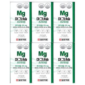 일양약품 마그네슘 프리미엄 1000mg x 60정 6개 / 써클