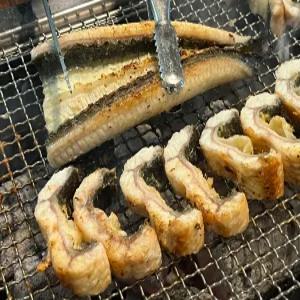 국내산 자포니카 민물장어 1마리 800g 손질후 500-550g 소스2종
