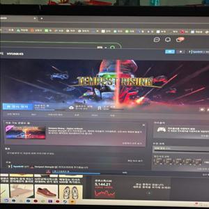 PC/스팀 24시간 발송 템페스트 라이징AA 모든계정 등록가능 Tempest Rising