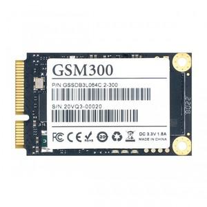 젬스톤 GSTON GSM300 mSATA (256GB)