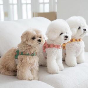 앞섬방지하네스 강아지 고양이 애견 산책 곰곰 하네스