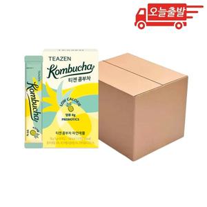 오늘출발 티젠 콤부차 파인애플 10개입 12개