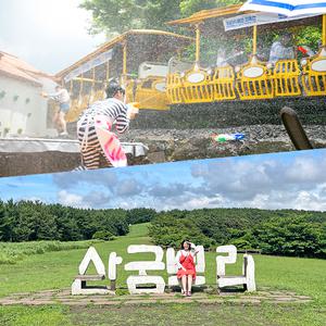[제주] 에코랜드+산굼부리 (가볼만한곳/관광/제주투어/자유여행/가족/친구/연인/아이와함께/테마파크/이색체험/브이패스/액티비티)