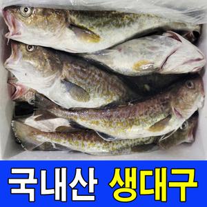 주문진 국내산 비손질 생대구 3kg 2~5마리 생대구 생물 통대구