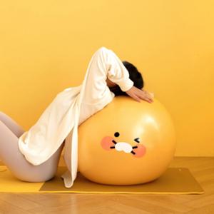 캐릭터 스트레칭 큰공 안터지는 고탄력 홈트짐볼 운동
