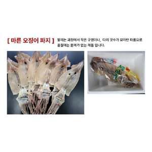 정품같은 마른오징어파지(8~12미 500g) 피데기 반건조오징어 울릉도오징어 동해안