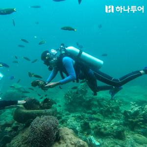 [LIVE11] 코타키나발루 패키지 5일/6일 #메리어트 #디럭스시티뷰 #아일랜드투어 #선셋반딧불이 #시티투어 #자유일정 #T라운지 #노쇼핑