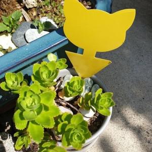 고양이모양 끈끈이 트랩 식물보호 혹파리 초파리 퇴치 1P