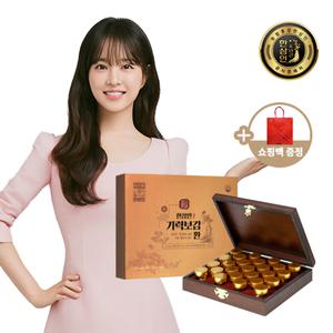 [농협홍삼]한삼인 기력보감환 3.75gX25환+쇼핑백