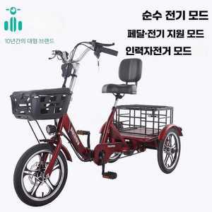 비포쉬프팅 세발전기자전거 삼륜 전기 전기자전거